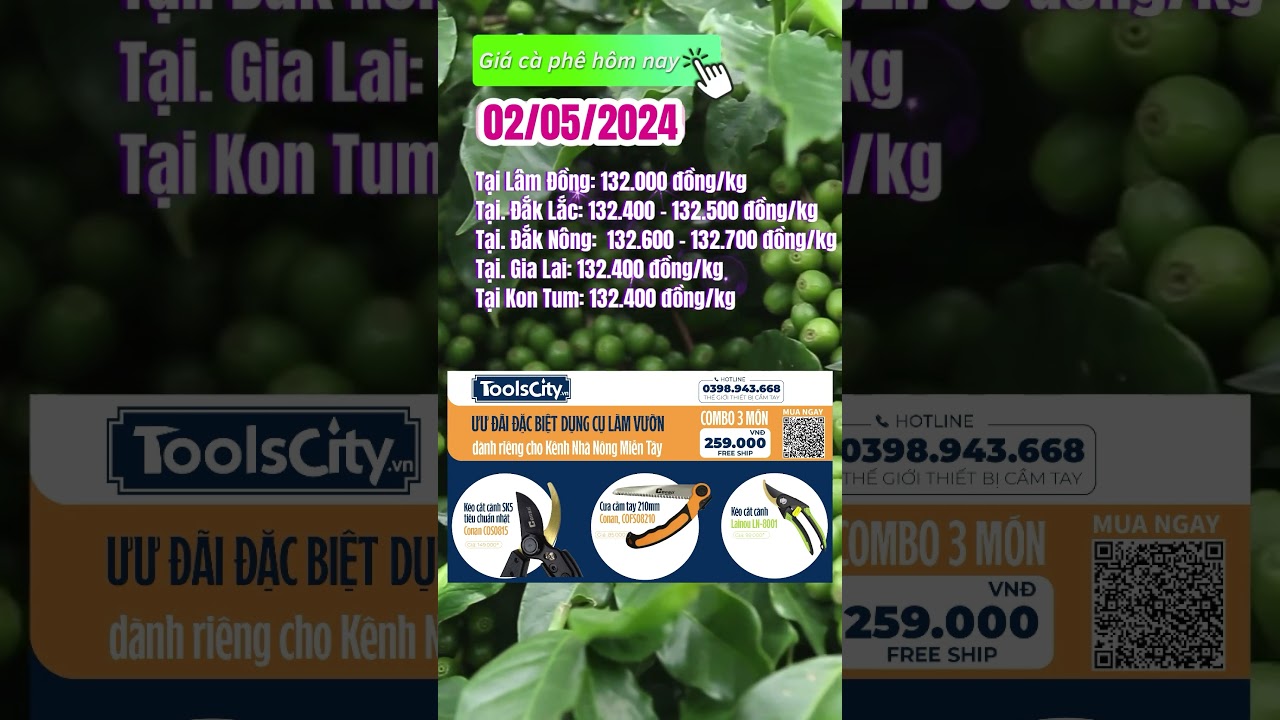 Vietnam coffee prices May 2, 2024