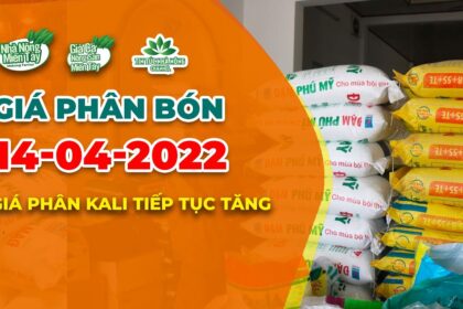 Vietnam fertilizer prices April 14, 2022