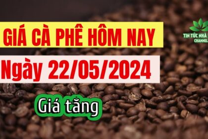 Vietnam coffee prices May 22, 2024