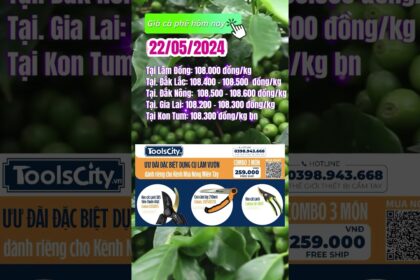 Vietnam coffee prices May 22, 2024