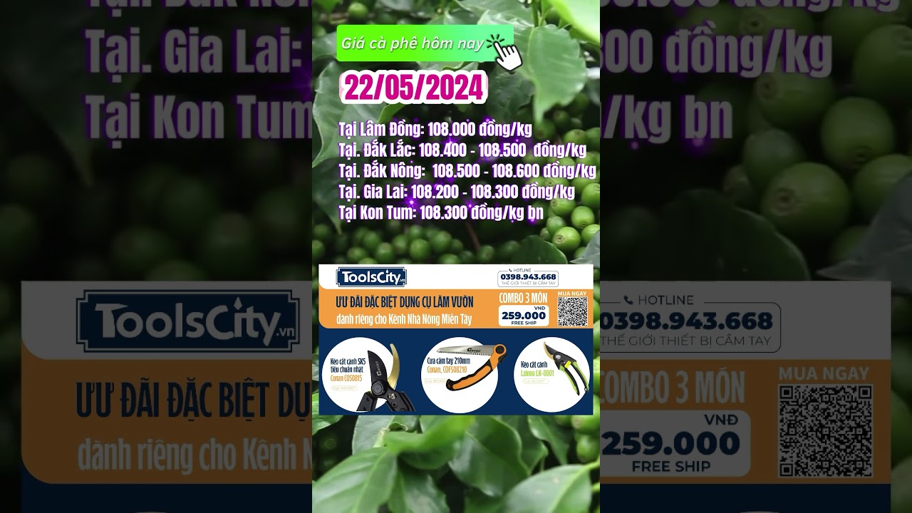 Vietnam coffee prices May 22, 2024