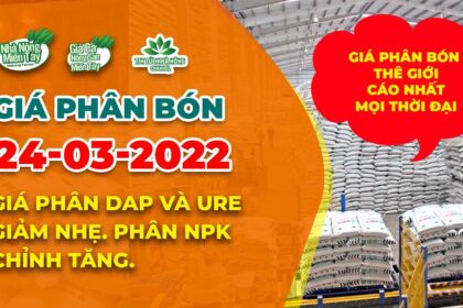 Vietnam fertilizer prices March 24, 2022