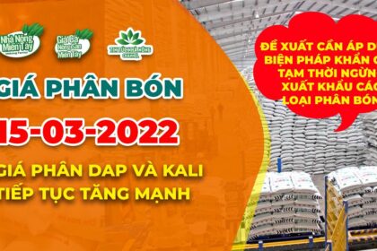 Vietnam fertilizer prices March 15, 2022