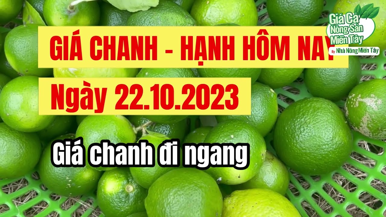 lime prices October 22, 2023