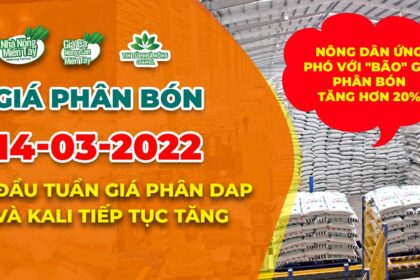 Vietnam fertilizer prices March 14, 2022