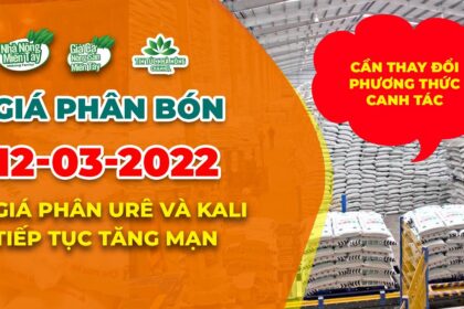 Vietnam fertilizer prices March 12, 2022
