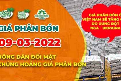 Vietnam fertilizer prices March 9, 2022