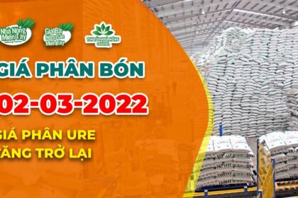 Vietnam fertilizer prices March 2, 2022