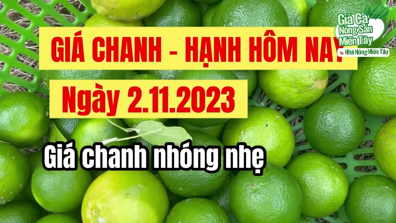 lime prices November 2, 2023