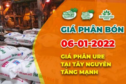 Vietnam fertilizer prices January 6, 2022