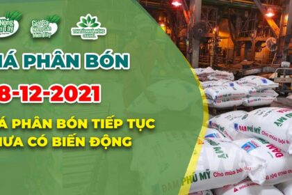Vietnam fertilizer prices December 28, 2021