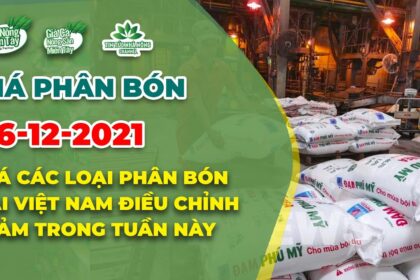 Vietnam fertilizer prices December 26, 2021
