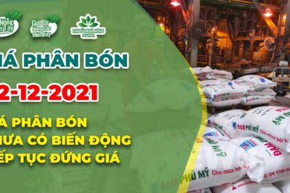 Vietnam fertilizer prices December 22, 2021