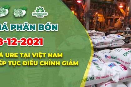 Vietnam fertilizer prices December 18, 2021
