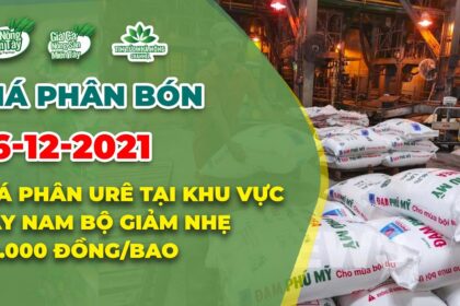 Vietnam fertilizer prices December 16, 2021