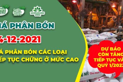 Vietnam fertilizer prices December 14, 2021