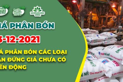 Vietnam fertilizer prices December 13, 2021