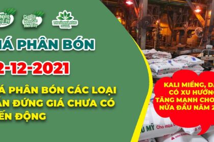 Vietnam fertilizer prices December 12, 2021