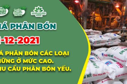 Vietnam fertilizer prices December 11, 2021