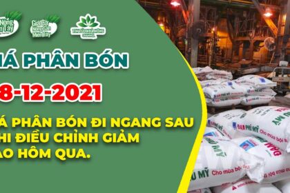 Vietnam fertilizer prices December 8, 2021