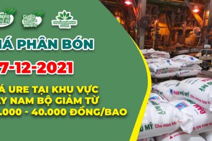 Vietnam fertilizer prices December 7, 2021