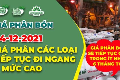 Vietnam fertilizer prices December 4, 2021