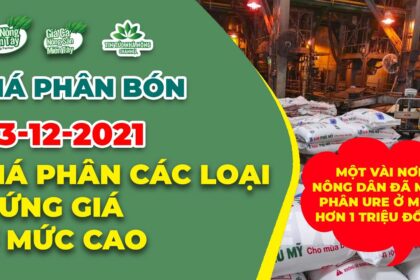 Vietnam fertilizer prices December 3, 2021