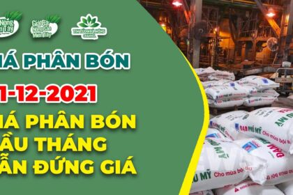 Vietnam fertilizer prices December 1, 2021