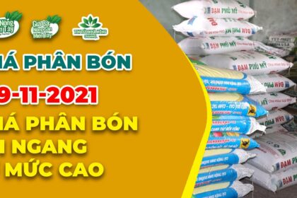 Vietnam fertilizer prices November 29, 2021