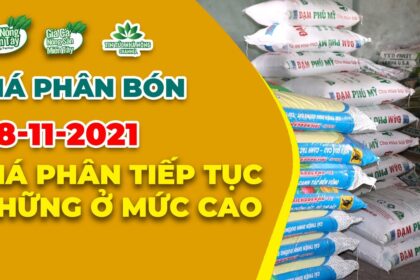Vietnam fertilizer prices November 28, 2021