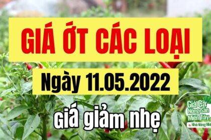 chili prices May 11, 2022