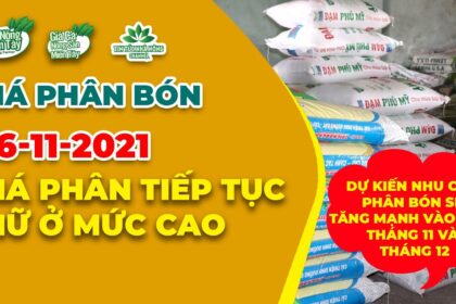 Vietnam fertilizer prices November 26, 2021