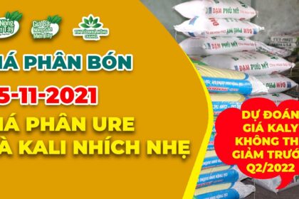 Vietnam fertilizer prices November 25, 2021