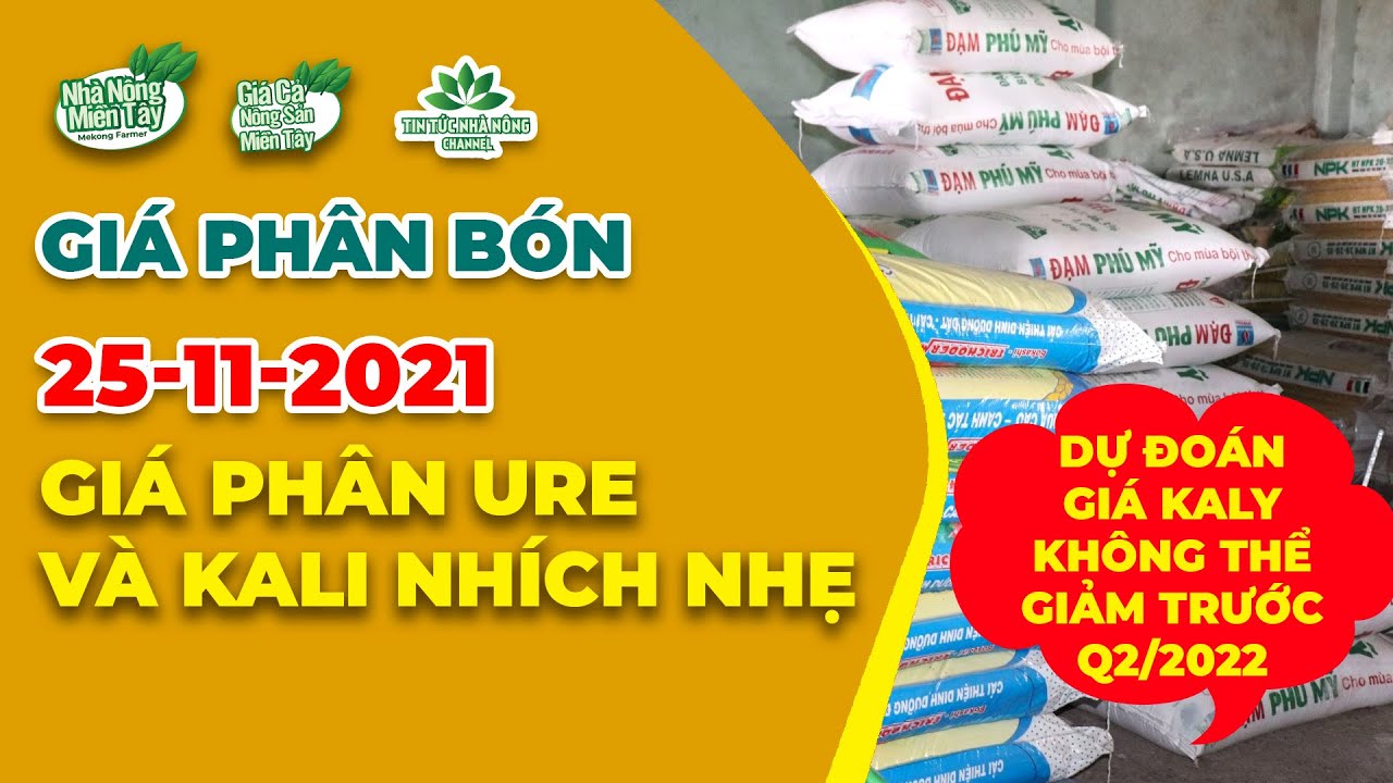 Vietnam fertilizer prices November 25, 2021
