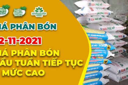 Vietnam fertilizer prices November 22, 2021