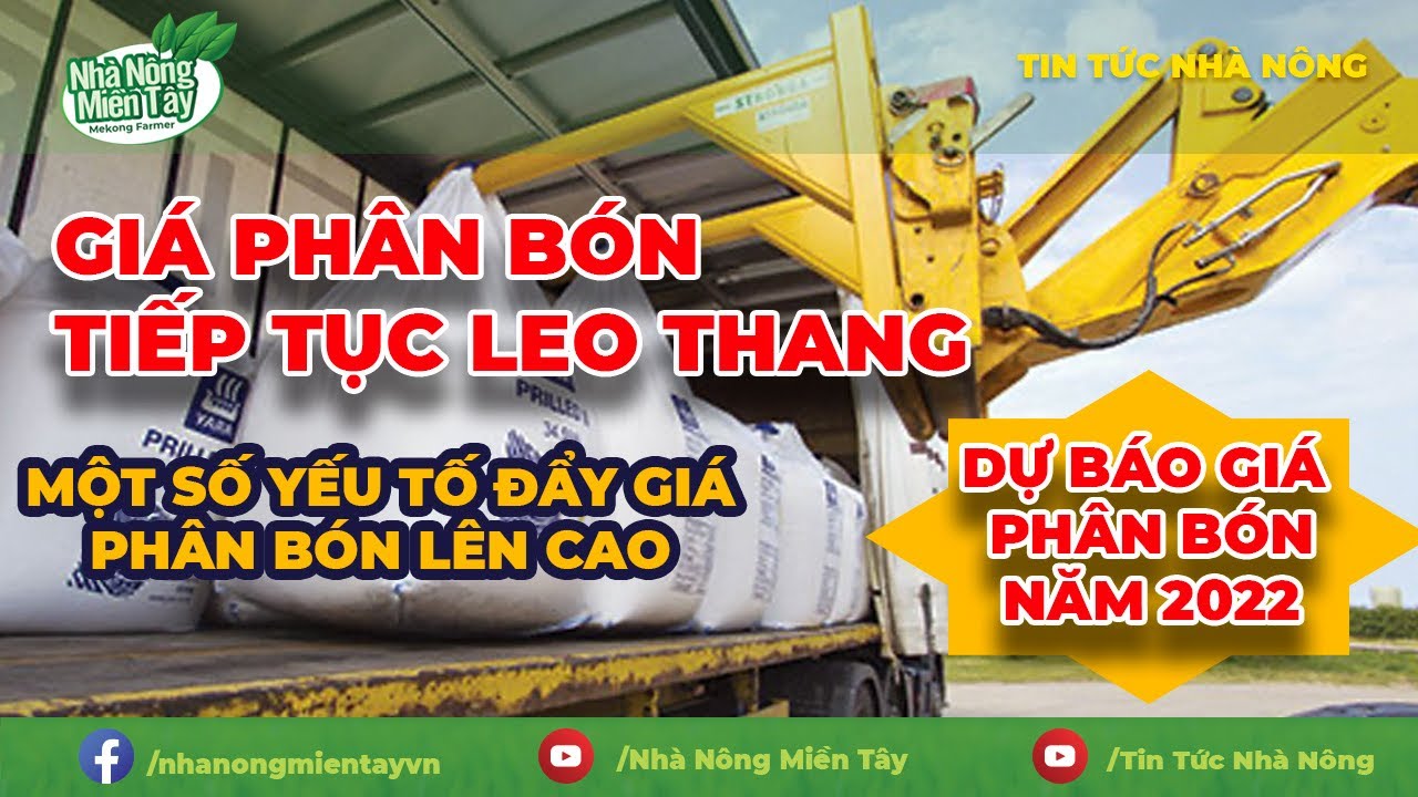 Vietnam fertilizer prices Market Update