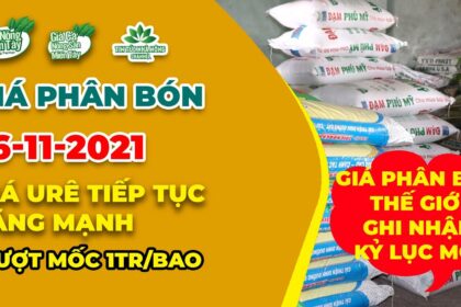 Vietnam fertilizer prices November 16, 2021