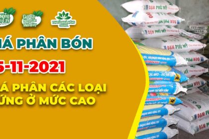 Vietnam fertilizer prices November 15, 2021