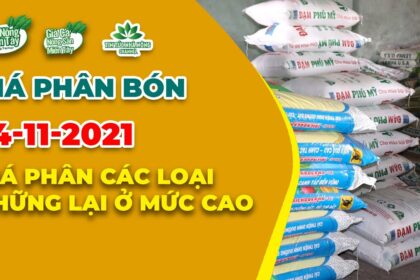 Vietnam fertilizer prices November 14, 2021