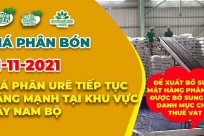 Vietnam fertilizer prices November 11, 2021