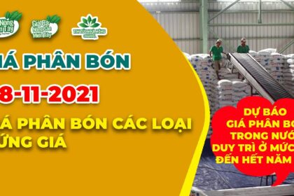 Vietnam fertilizer prices November 8, 2021