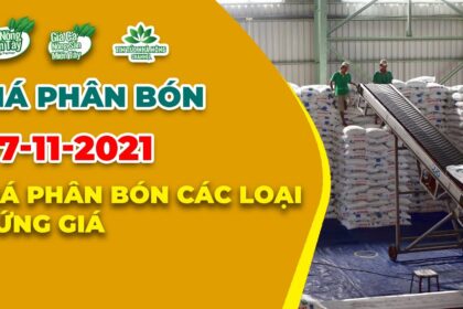 Vietnam fertilizer prices November 7, 2021