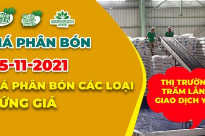 Vietnam fertilizer prices November 5, 2021