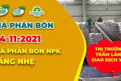 Vietnam fertilizer prices November 4, 2021