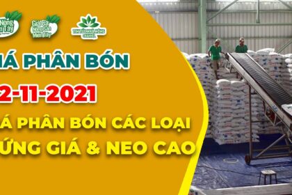Vietnam fertilizer prices November 2, 2021