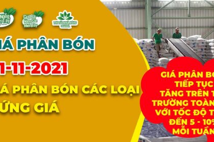 Vietnam fertilizer prices November 1, 2021