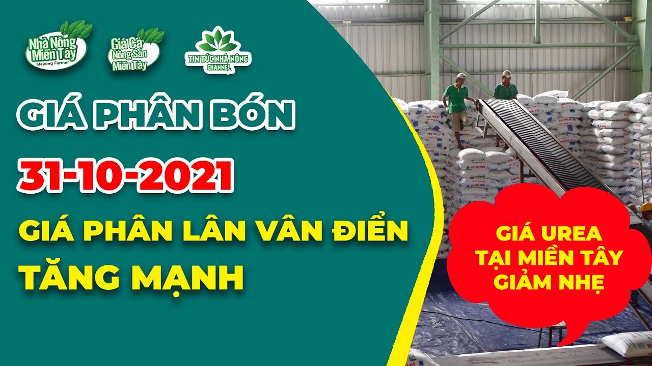 Vietnam fertilizer prices October 31, 2021