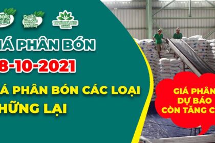 Vietnam fertilizer prices October 28, 2021