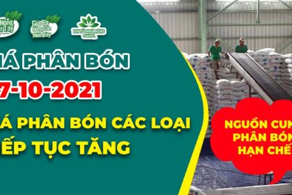 Vietnam fertilizer prices October 27, 2021