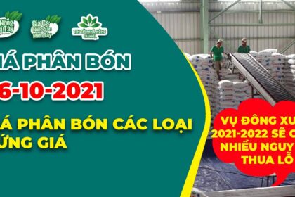 Vietnam fertilizer prices October 26, 2021